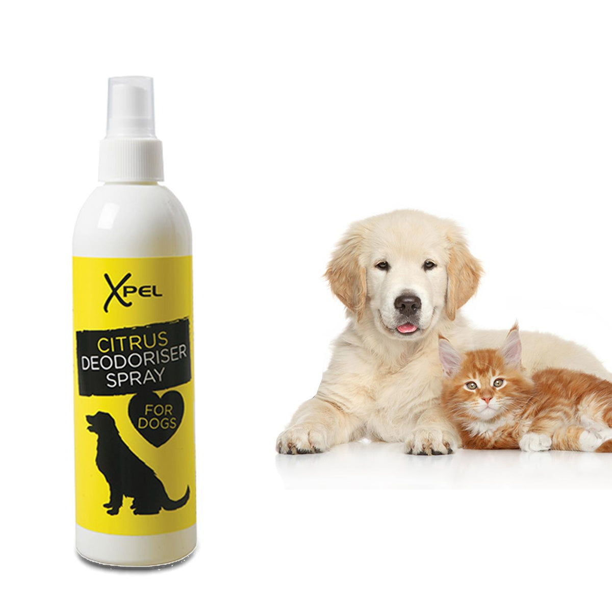 Xpel Deodoriser Citrus Refreshing Spray for Dogs, 250ml Avant Garde