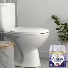 Load image into Gallery viewer, Andrex Toilet Roll Supreme Quilts Fragrance-Free 3 Ply Toilet Paper, 72 Rolls