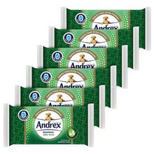 Load image into Gallery viewer, 6x Andrex Washlets Gentle Clean, Skin Kind or Classic Clean Toilet Tissue Wipes