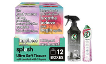 Load image into Gallery viewer, Splesh Tissues 12pk + Cif Pink Tuberose Cream 500ml + Stainless Spray 435ml