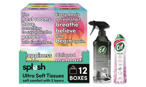 Splesh Tissues 12pk + Cif Pink Tuberose Cream 500ml + Stainless Spray 435ml