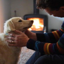 Load image into Gallery viewer, Ecoblaze Kiln Dried Birch Hardwood Firewood Logs 1m³ Crate for Wood Burner &amp; BBQ