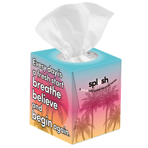 Splesh Ultra Soft Tissues 3-Ply Pack of 12 Cube Tissue Boxes, Total 672 Tissues