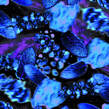 Load image into Gallery viewer, Lynx Fine Fragrance Duo Collection Blue Lavender 2 Pieces Gift Set for Him