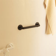 Load image into Gallery viewer, COSMIC Architect Grab Bar | Black | Screw Mount | Circular Design