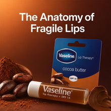 Load image into Gallery viewer, Vaseline Lip Balm Stick Cocoa Butter 4g 2 Pack Lip Therapy Moisturising Lip Care