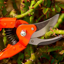 Load image into Gallery viewer, BAHP12619E P126-19-E Bypass Secateurs 15mm Capacity
