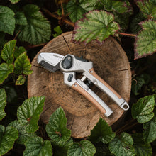Load image into Gallery viewer, Kent &amp; Stowe SureCut Hardwood Lite Anvil Secateurs, 27mm Cutting Diameter