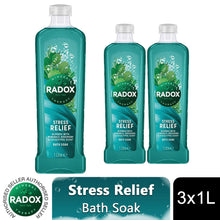 Load image into Gallery viewer, Radox Mineral Therapy Bath Soak Stress Relief, Rosemary &amp; Eucalyptus Scent 3x1L