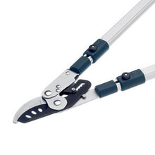 Load image into Gallery viewer, BULBD3113TW BD3113TW Evergreen Extending Bypass Loppers