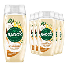 Load image into Gallery viewer, Radox Mineral Therapy Feel Nourished Shower Cream Moisturising Wash 225ml, 6pk