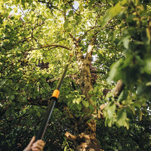 Load image into Gallery viewer, FSK1023624 PowerGear X Telescopic Tree Pruner
