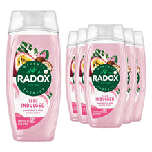 Load image into Gallery viewer, Radox Mineral Therapy Feel Indulged Shower Cream Moisturising Wash 225ml, 6 Pack