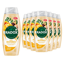 Load image into Gallery viewer, Radox Mineral Therapy Feel Restored Shower Cream with Cocoa Butter 450ml, 24 Pk