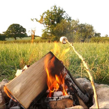 Load image into Gallery viewer, Ecoblaze Ash Kiln Dried 1m³ Crate Firewood Logs for Wood Burner &amp; Pizza Oven