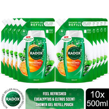 Load image into Gallery viewer, Radox Mineral Therapy Shower Gel Refill Pouch Feel Refreshed 500ml, 10 Pack