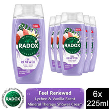 Load image into Gallery viewer, Radox Mineral Therapy Feel Renewed Shower Cream Moisturising Wash 225ml, 6 Pack