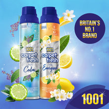 Load image into Gallery viewer, 1001 Carpet Fresh Feel Calm Upholstery Odour Remover Spray, 6x300ml