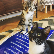 Load image into Gallery viewer, Platinum Plus Clumping Cat Litter 60L Bag Softwood for Cat, Kitten &amp; Small Pets