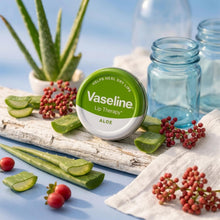 Load image into Gallery viewer, Vaseline Lip Balm Aloe Vera 20g, 12 Pack Lip Therapy Soothing Moisturising Care