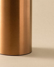 Load image into Gallery viewer, COSMIC Architect WC Brush | Matte Steel | Freestanding | Metal Design