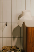 Load image into Gallery viewer, COSMIC Toilet roll Holder Light Grey Matte Measures 2 x 13 x 2 cm