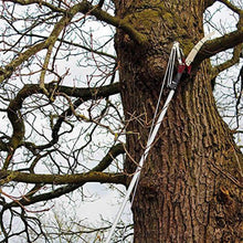Load image into Gallery viewer, K/S70100496 Telescopic Tree Pruner 3m