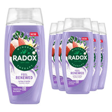 Load image into Gallery viewer, Radox Mineral Therapy Feel Renewed Shower Cream Moisturising Wash 225ml, 6 Pack