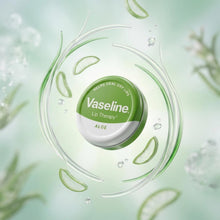 Load image into Gallery viewer, Vaseline Lip Balm Aloe Vera 20g, 12 Pack Lip Therapy Soothing Moisturising Care