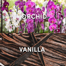 Load image into Gallery viewer, Impulse Body Mist Sweet Cherub with Orchid &amp; Vanilla Fragrance 100ml, 6 Pack