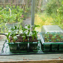 Load image into Gallery viewer, Gro-Sure Electric Heated Propagation Mat for Boost Seed Germination, 50cm x 25cm
