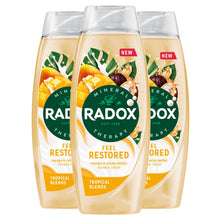Load image into Gallery viewer, Radox Mineral Therapy Feel Restored Shower Cream with Cocoa Butter 450ml, 3 Pack