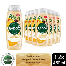 Load image into Gallery viewer, Radox Mineral Therapy Feel Restored Shower Cream with Cocoa Butter 450ml, 12 Pk