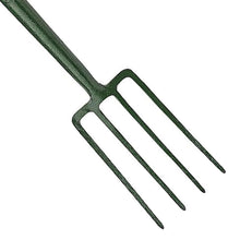 Load image into Gallery viewer, BUL7104 Evergreen Border Fork PD