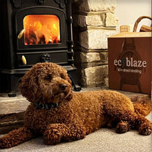 Load image into Gallery viewer, Ecoblaze Kiln Dried Kindling Wood 120 Fire Sticks for Log Burners &amp; Pizza Oven
