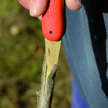 Load image into Gallery viewer, BAHP11 P11 Gardening Knife - Budding