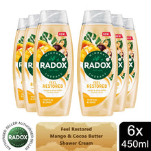 Load image into Gallery viewer, Radox Mineral Therapy Feel Restored Shower Cream with Cocoa Butter 450ml, 6 Pack