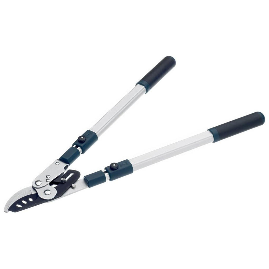BULBD3113TW BD3113TW Evergreen Extending Bypass Loppers