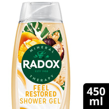 Load image into Gallery viewer, Radox Mineral Therapy Feel Restored Shower Cream with Cocoa Butter 450ml, 24 Pk