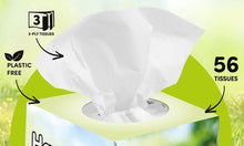 Load image into Gallery viewer, Splesh Tissues 12pk + 2x Cif Lemon 500ml + Domestos Bleach 2L