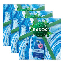 Load image into Gallery viewer, Radox Relax &amp; Recharge Blueberry &amp; Raspberry Bath Bombs 2Pcs Gift Set for Her