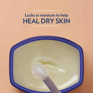 Vaseline Petroleum Jelly Moisturising Cocoa Butter for Dry Skin 100ml, 6pk
