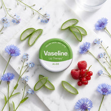 Load image into Gallery viewer, Vaseline Lip Balm Aloe Vera 20g, 6 Pack Lip Therapy Soothing Moisturising Care
