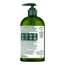 Load image into Gallery viewer, Original Source Hand Wash I&#39;m Plant Based Cedarwood and Eucalyptus 335ml, 6 Pack