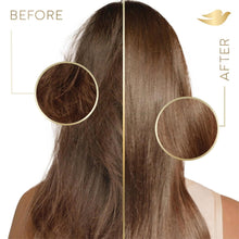 Load image into Gallery viewer, Dove Nutritive Solutions Shampoo Daily Moisture for Dry Hair 250ml, 3 Pack