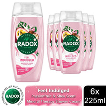 Load image into Gallery viewer, Radox Mineral Therapy Feel Indulged Shower Cream Moisturising Wash 225ml, 6 Pack