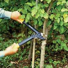 Load image into Gallery viewer, FSK112170 PowerGear Anvil Loppers - Extra Small