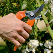 Load image into Gallery viewer, BAHP12120 P121-20 Bypass Secateurs 20mm Capacity
