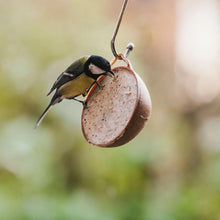 Load image into Gallery viewer, Peckish Natural Balance Coco-Nots 100% Compostable &amp; Biodegradable, 4 Pack