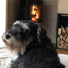 Load image into Gallery viewer, Ecoblaze Ash Kiln Dried 1m³ Crate Firewood Logs for Wood Burner &amp; Pizza Oven